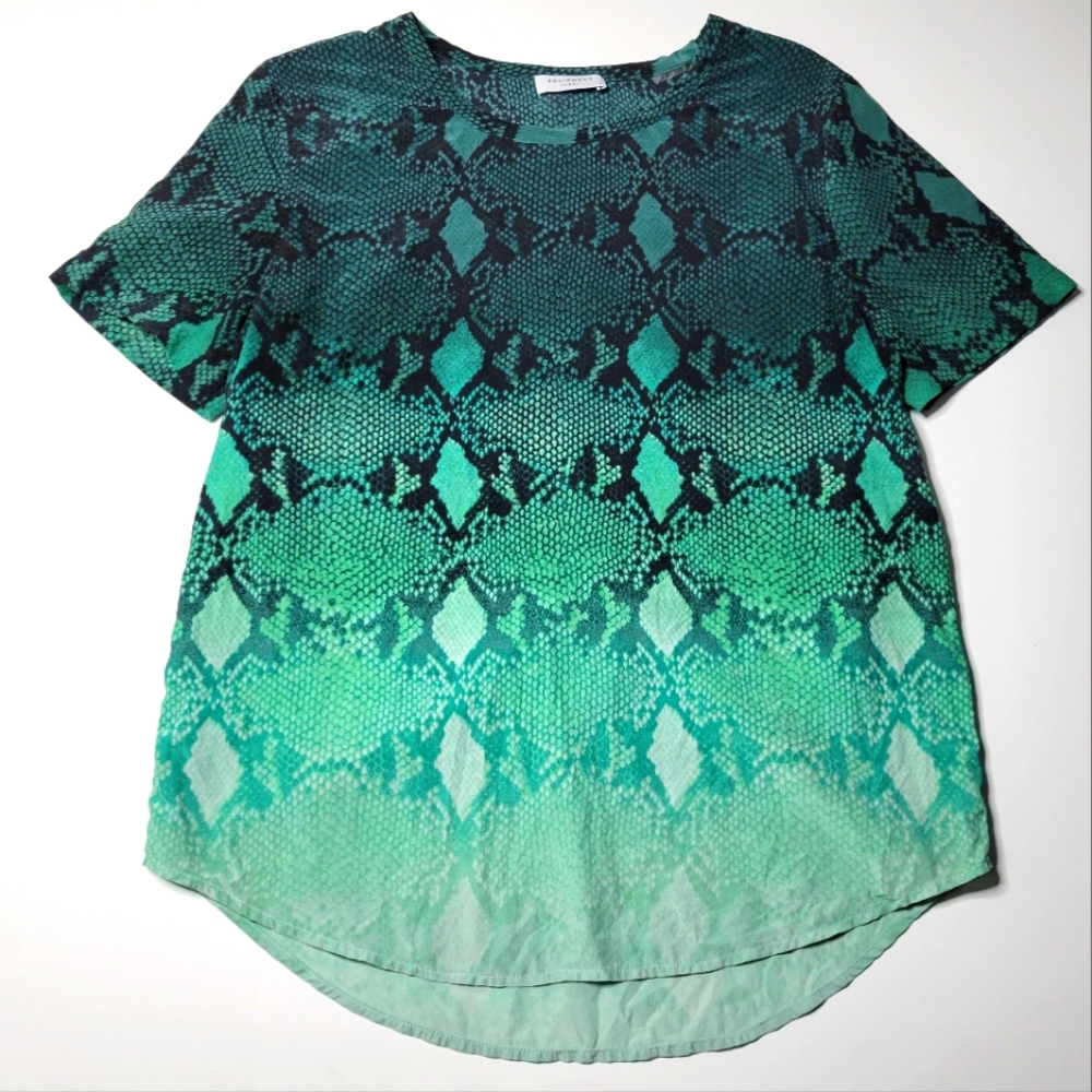 Equipment Ombre silk top S